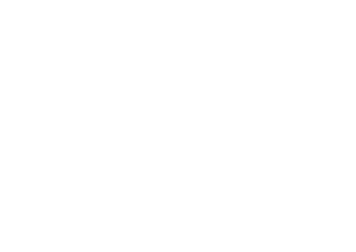 Dr Hangl Logo