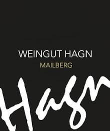 hagn logo